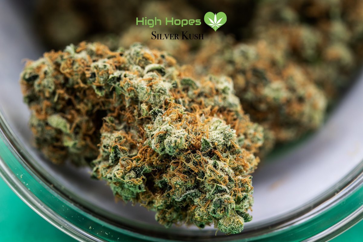 silverkush.jpg